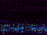 No data: 02-03 UT