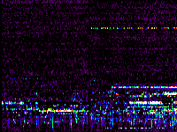 No data: 02-03 UT