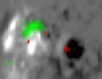 Radio image of a solar flare