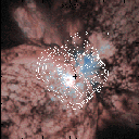 The radio image overlaid on the HST optical image